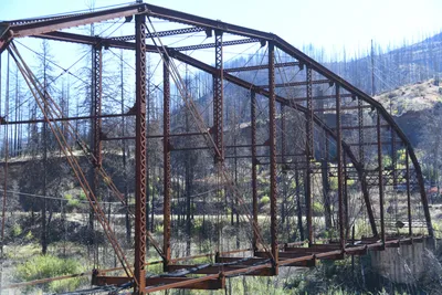 DSC_6471 (Large).JPG